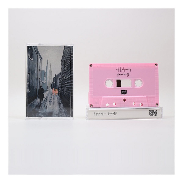 ali helnwein - pterodactyl