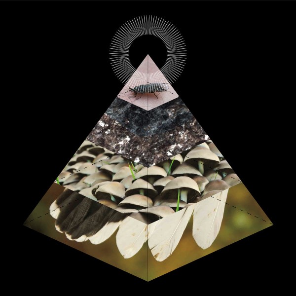 Belus: Apophenia (2017)