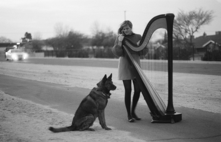 mary lattimore with dog