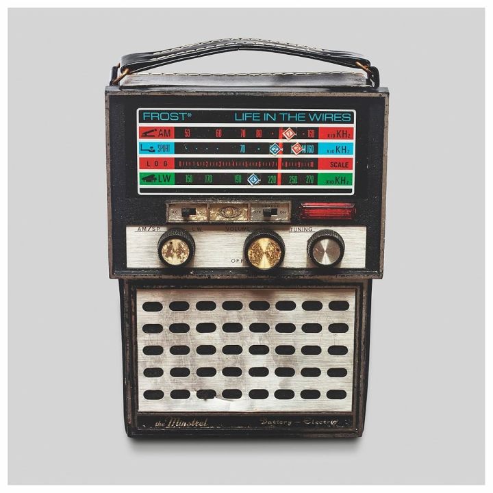 frost - life in the wires