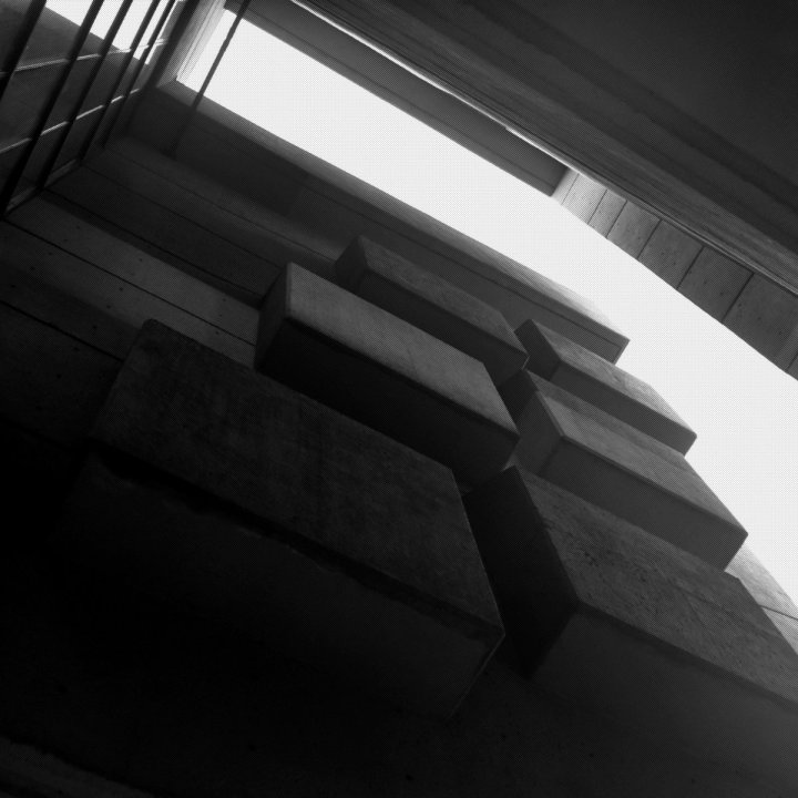 cold in berlin - the body is the wound