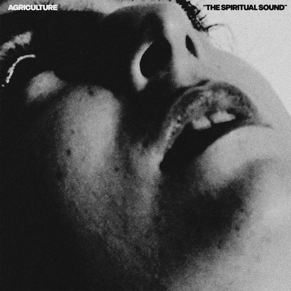 agriculture - the spiritual sound album cover