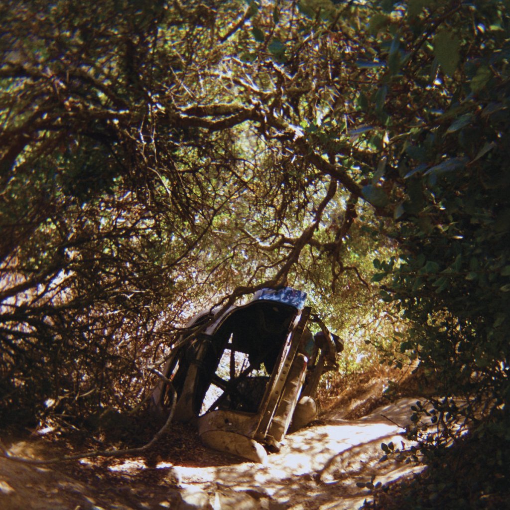 ty segall - possession