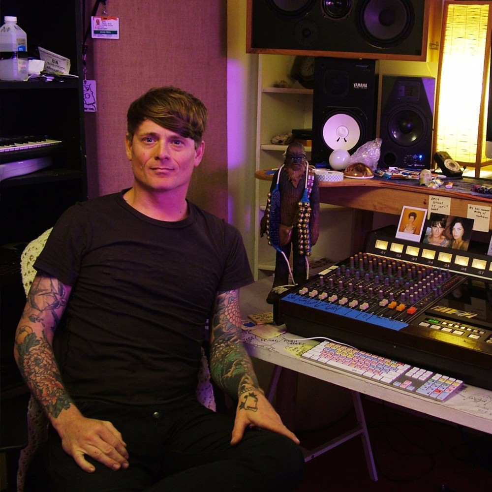 john dwyer - damaged bug