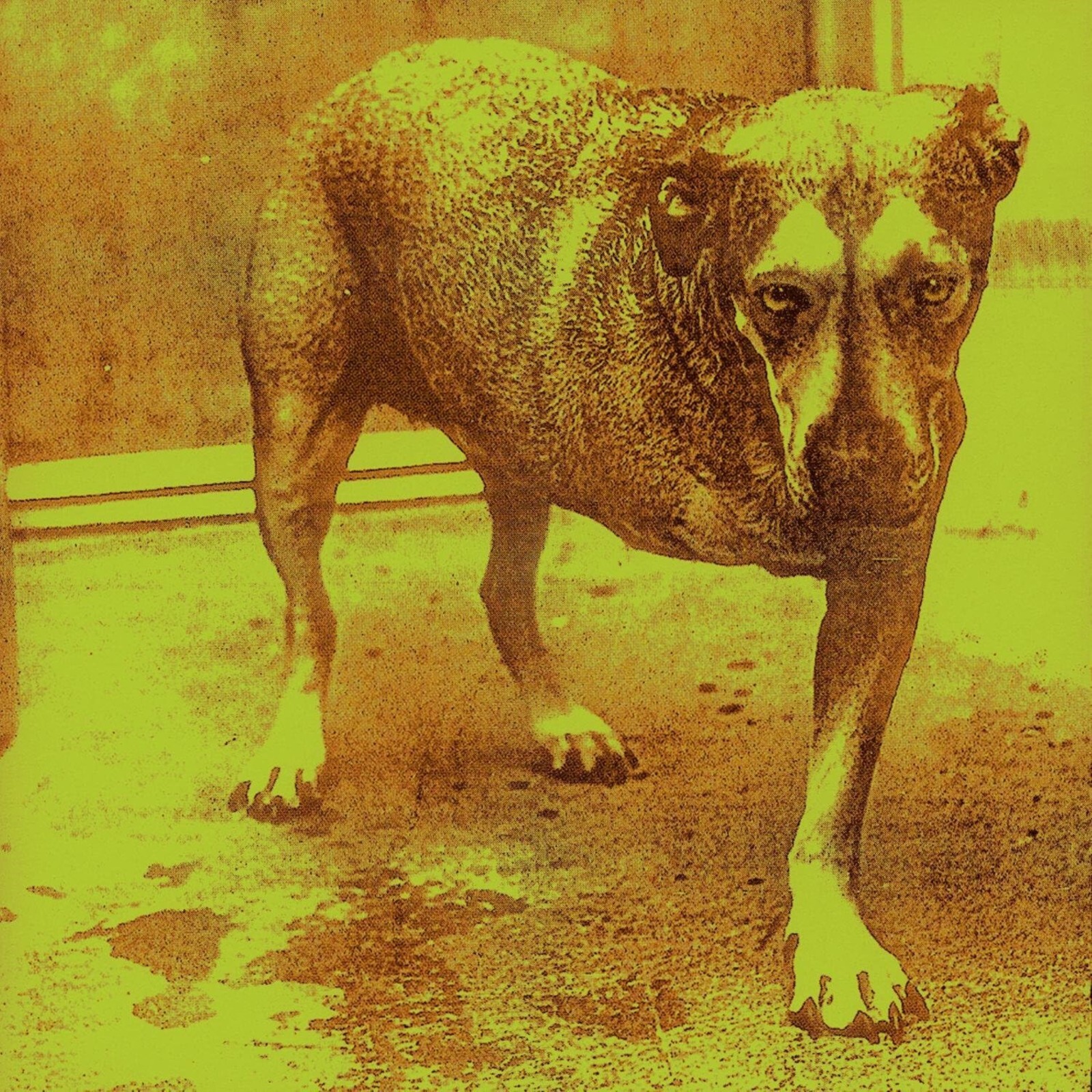 Alice in Chains: S/T (1995)